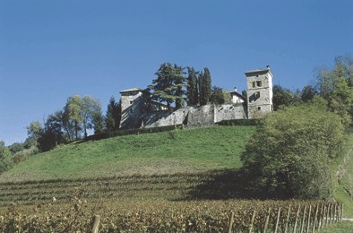 Panoramica del castello.