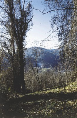 Panoramica dal colle del castello.