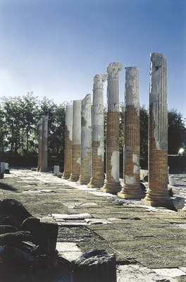 Foro con le colonne rialzate e ripristinate nell'immediato secondo dopoguerra.