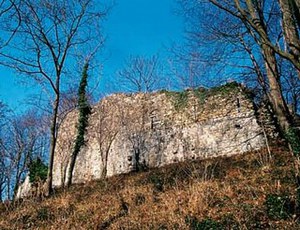 Vista dei resti dell'antico castello medievale di Buja.