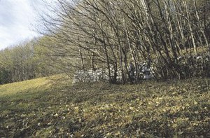 Resti di muraglia su Cort dal Salvan.