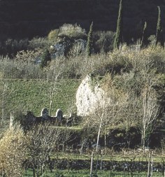 Resti murari del bastione.