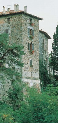 L'Azienda Vinai dell'Abbate