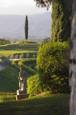 Il giardino